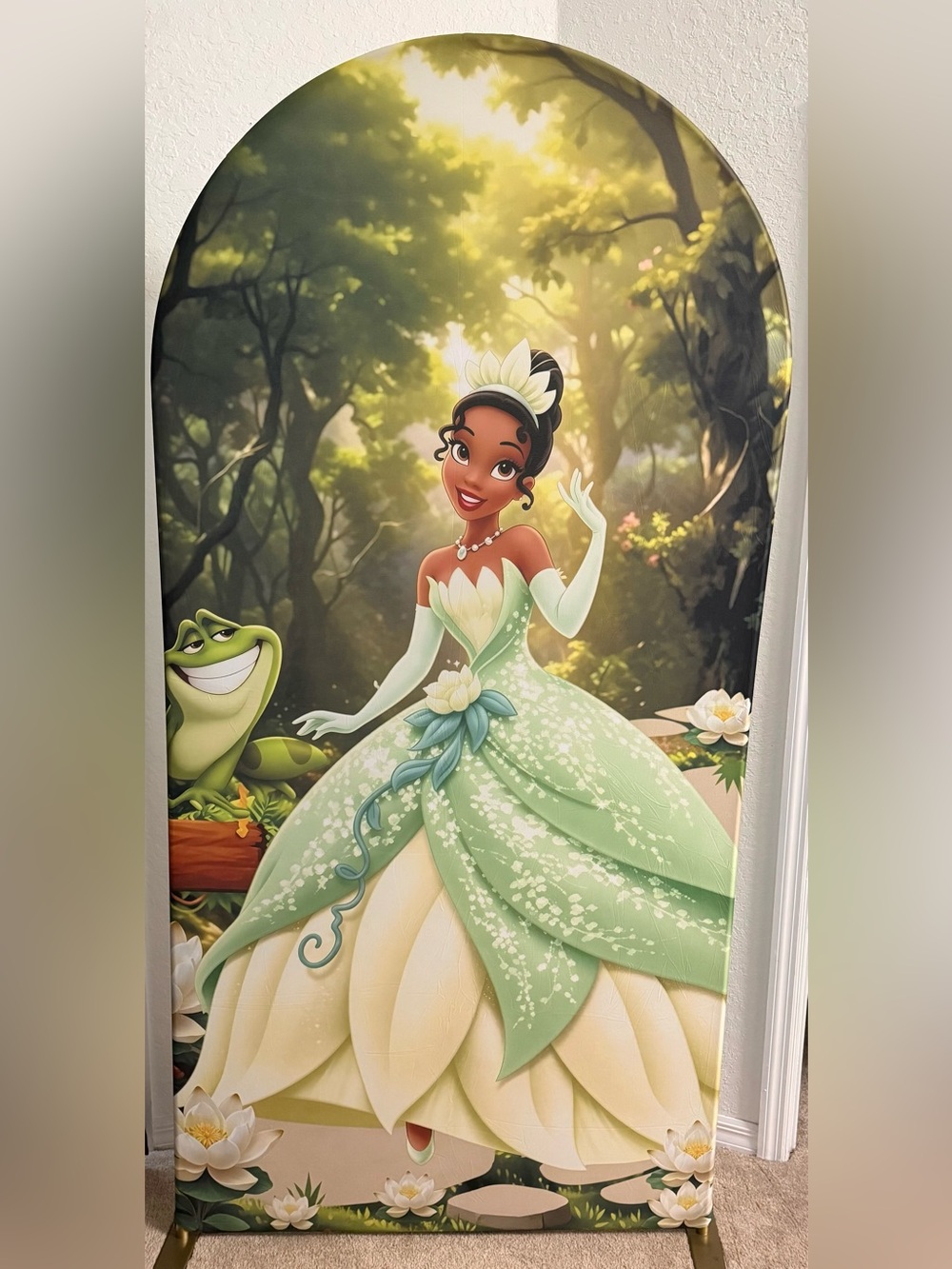 Princess Tiana Arch Backdrop Cover